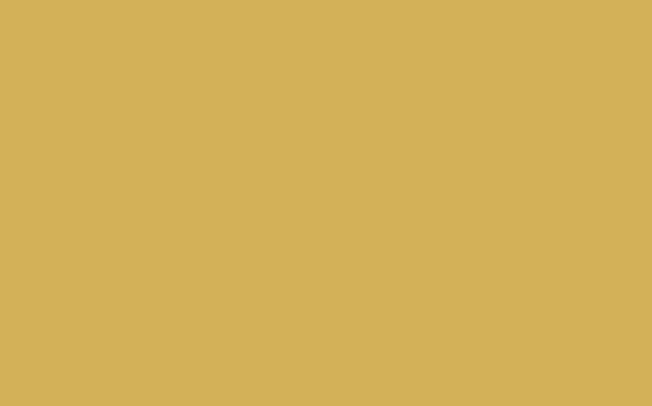 No. 51 Sudbury Yellow (Interiör Vägg & Tak: Modern Emulsion