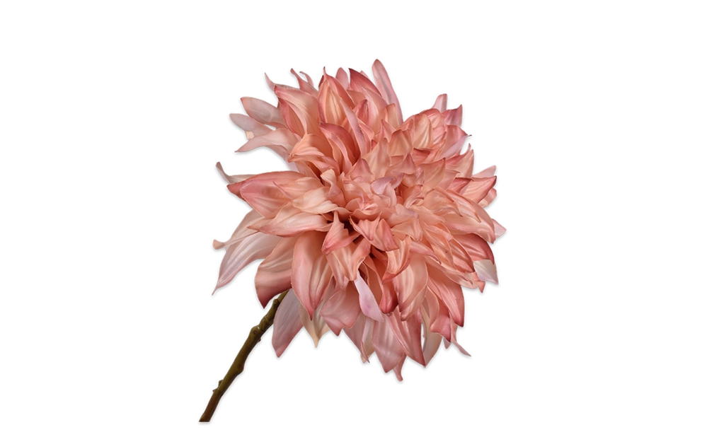 Dahlia Stem Mauve