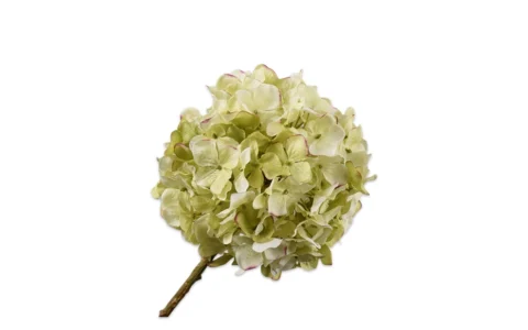 Hydrangea Spray Green/Pink
