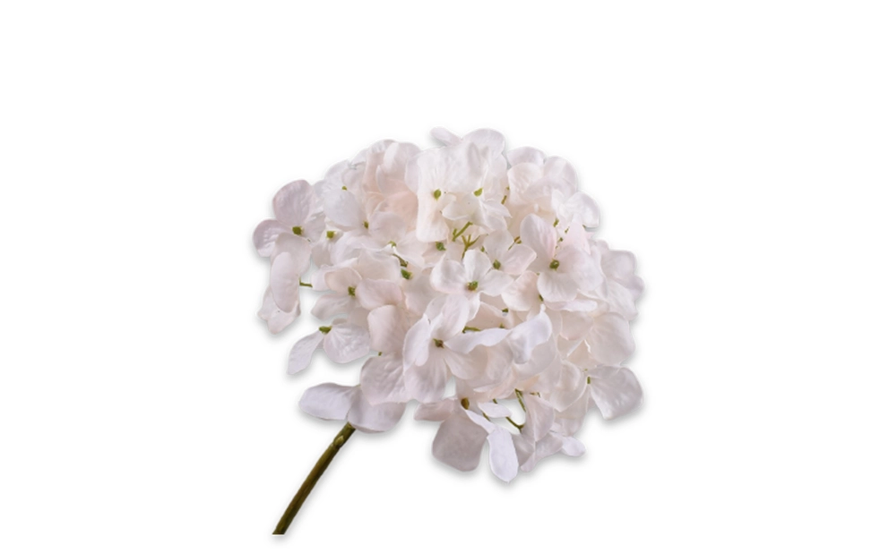 Hydrangea Stem Cream