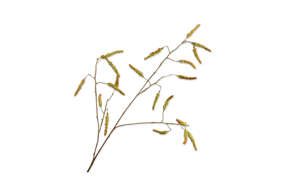 Willow Branche Green/Brown